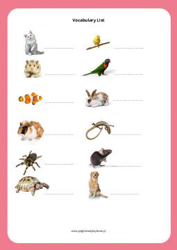 Pets -lista słówek